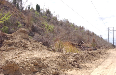 Berm