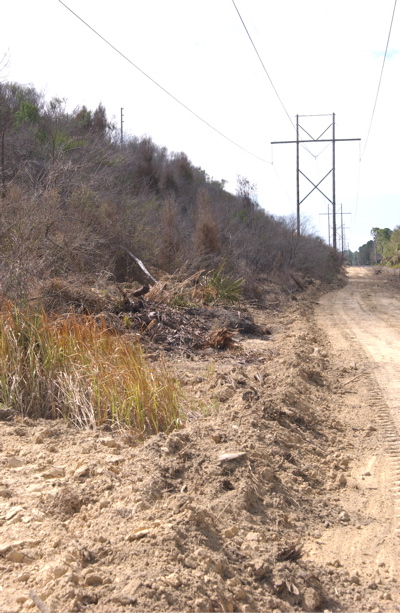 Berm 2