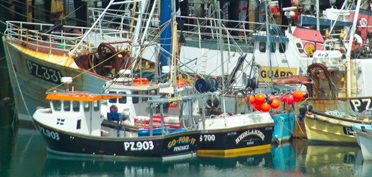 FishBoat